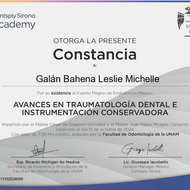 Ampliar imagen: certificate 8