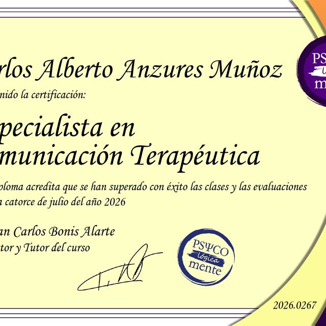 Ampliar imagen: certificate 19