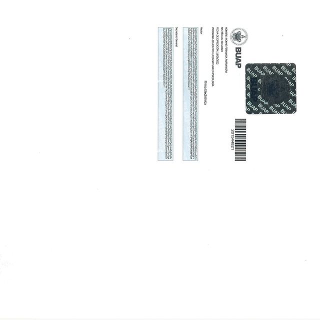 Ampliar imagen: certificate 3