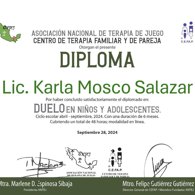 Ampliar imagen: certificate 14