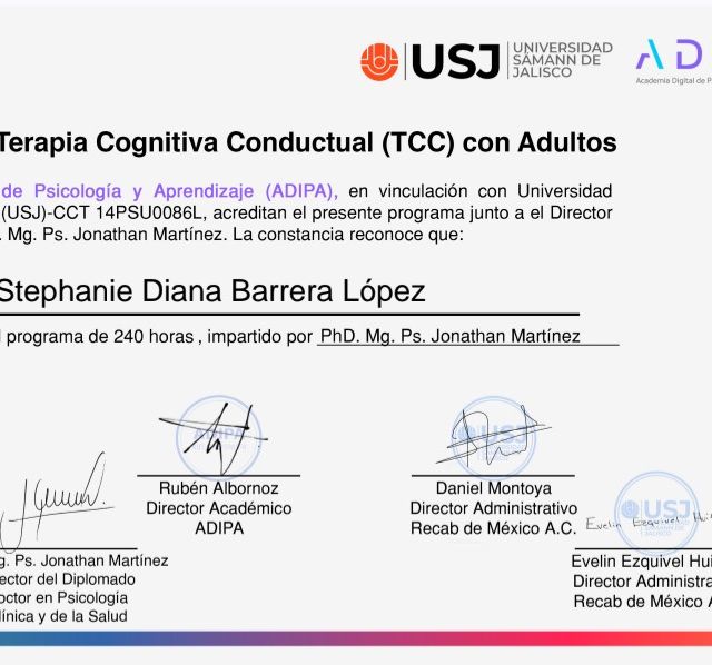 Ampliar imagen: certificate 3