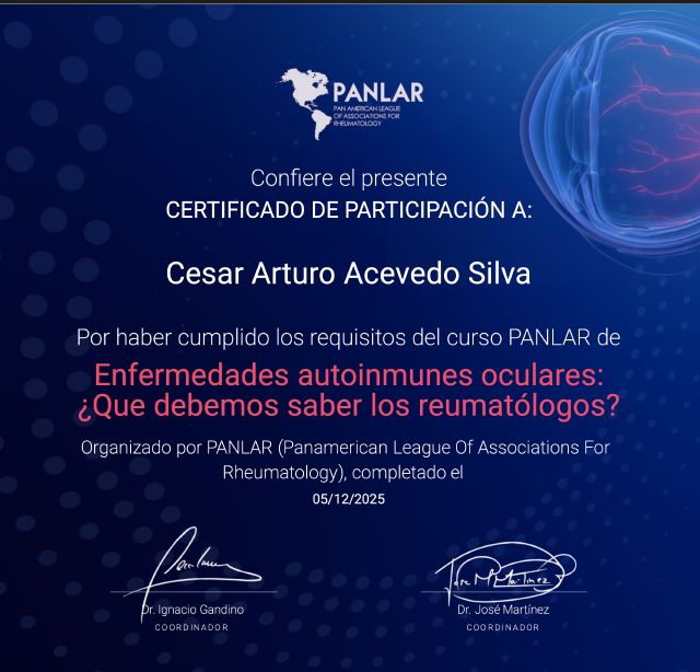 Ampliar imagen: certificate 1