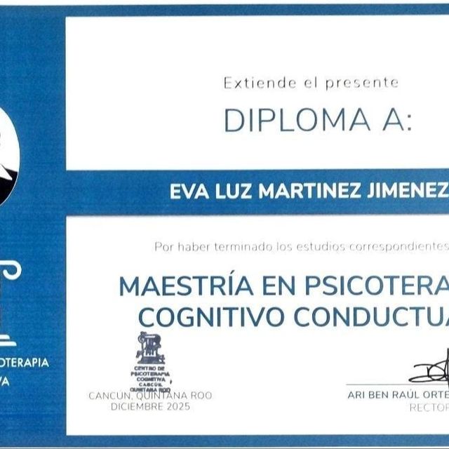 Ampliar imagen: certificate 1
