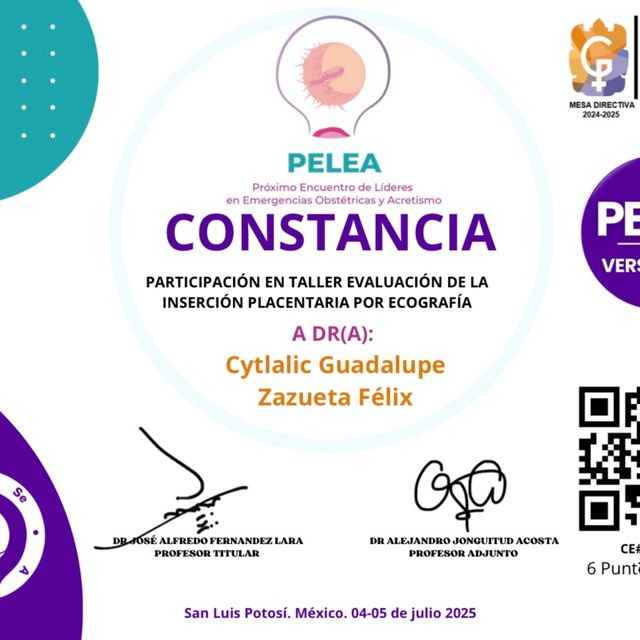 Ampliar imagen: certificate 2