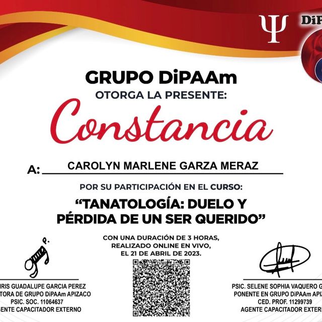 Ampliar imagen: certificate 9