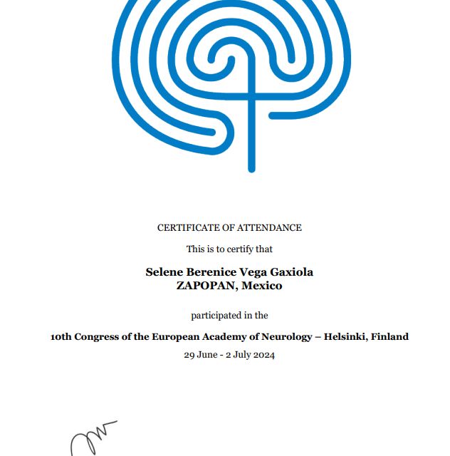 Ampliar imagen: certificate 6
