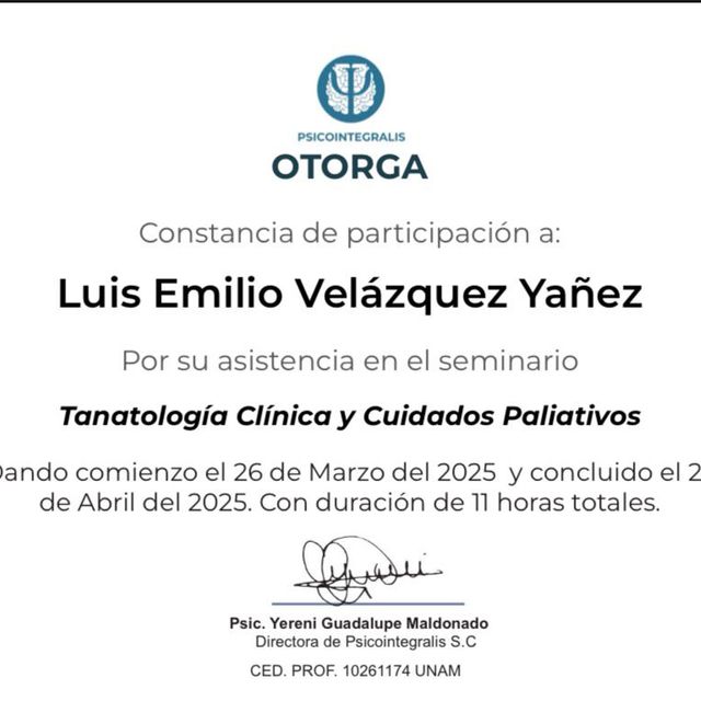 Ampliar imagen: certificate 3