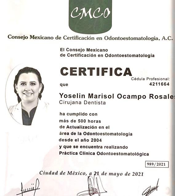 Ampliar imagen: certificate 1