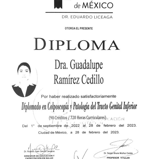 Ampliar imagen: certificate 2