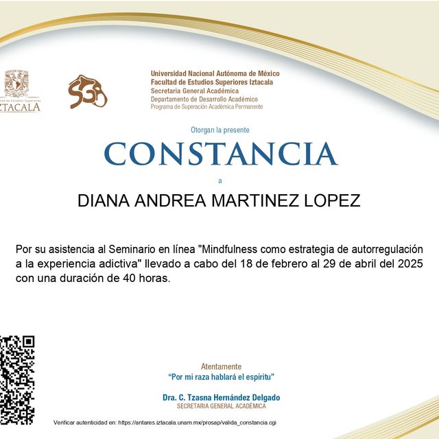 Ampliar imagen: certificate 3