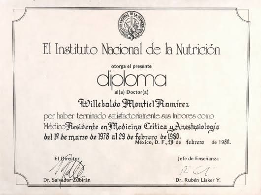 Ampliar imagen: certificate 3