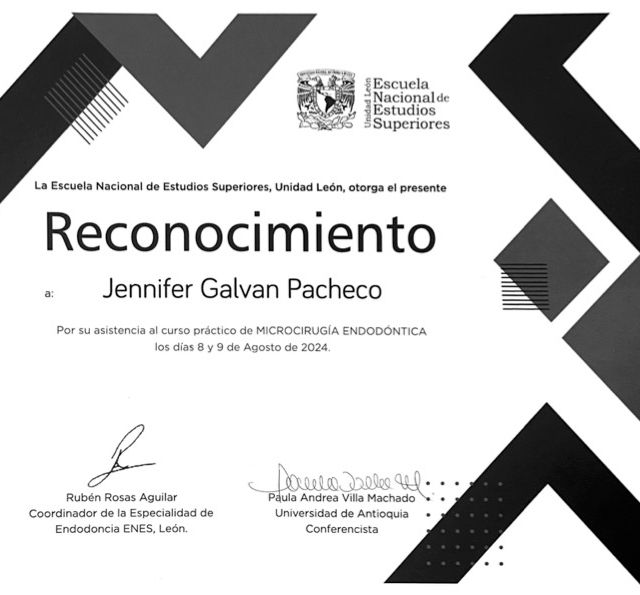 Ampliar imagen: certificate 8