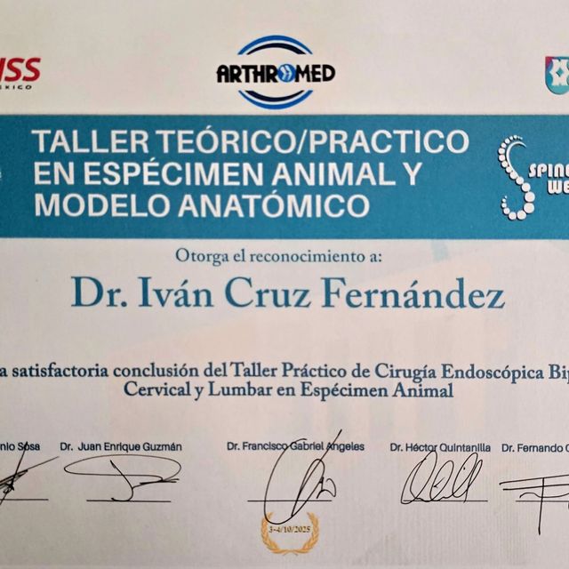 Ampliar imagen: certificate 3