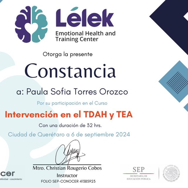 Ampliar imagen: certificate 5