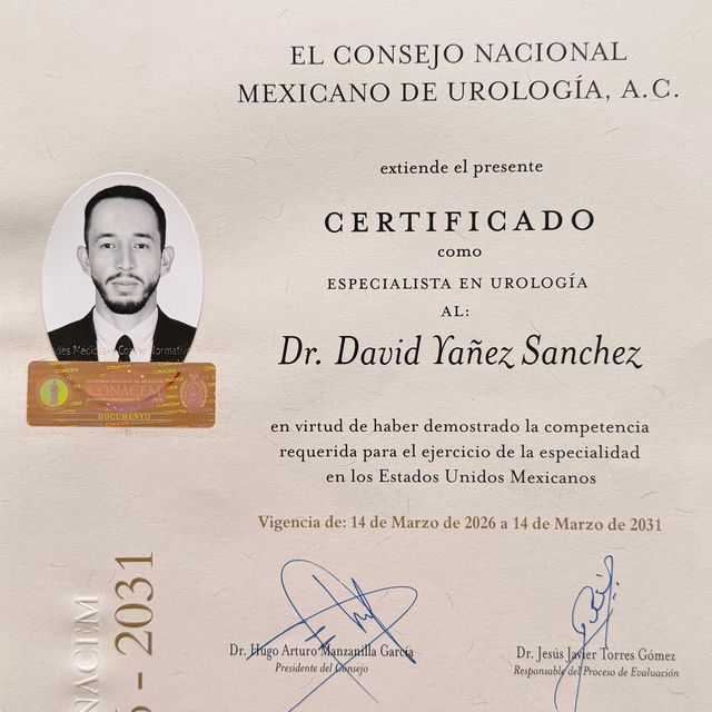 Ampliar imagen: certificate 1