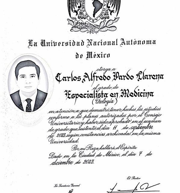 Ampliar imagen: certificate 1