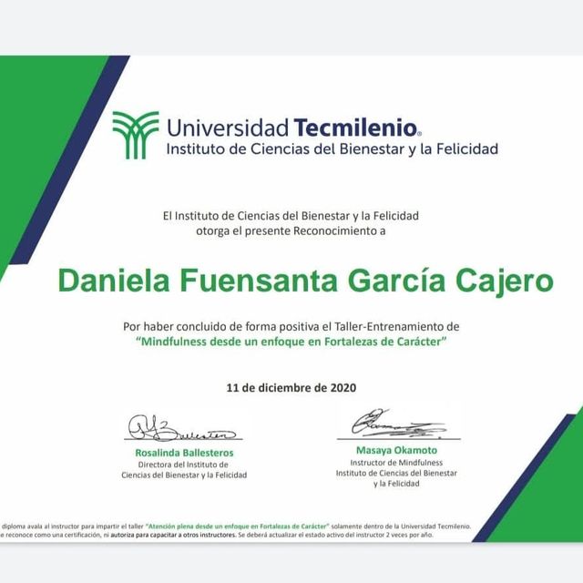Ampliar imagen: certificate 4