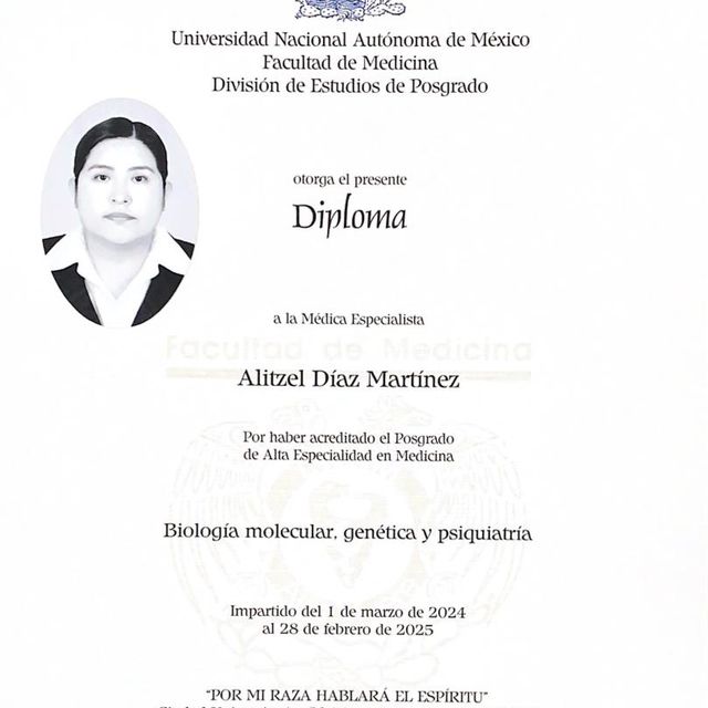 Ampliar imagen: certificate 1