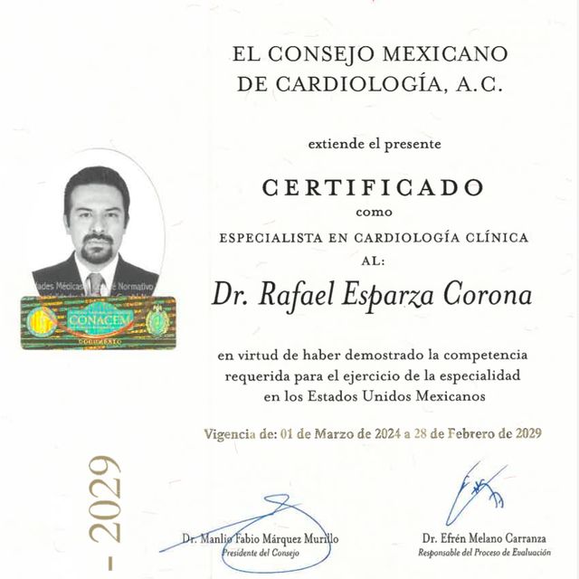 Ampliar imagen: certificate 3