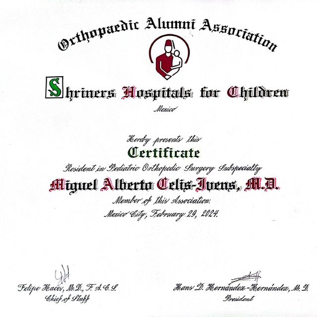 Ampliar imagen: certificate 2