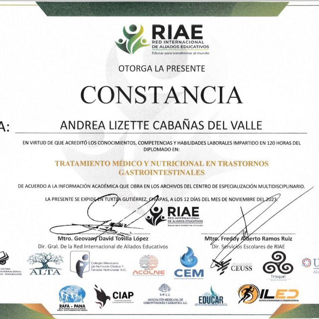 Ampliar imagen: certificate 6