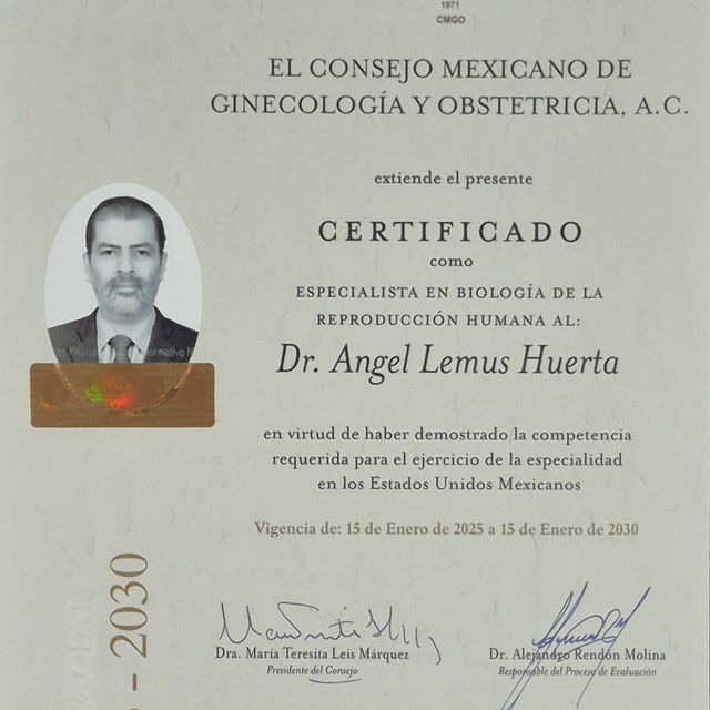Ampliar imagen: certificate 4