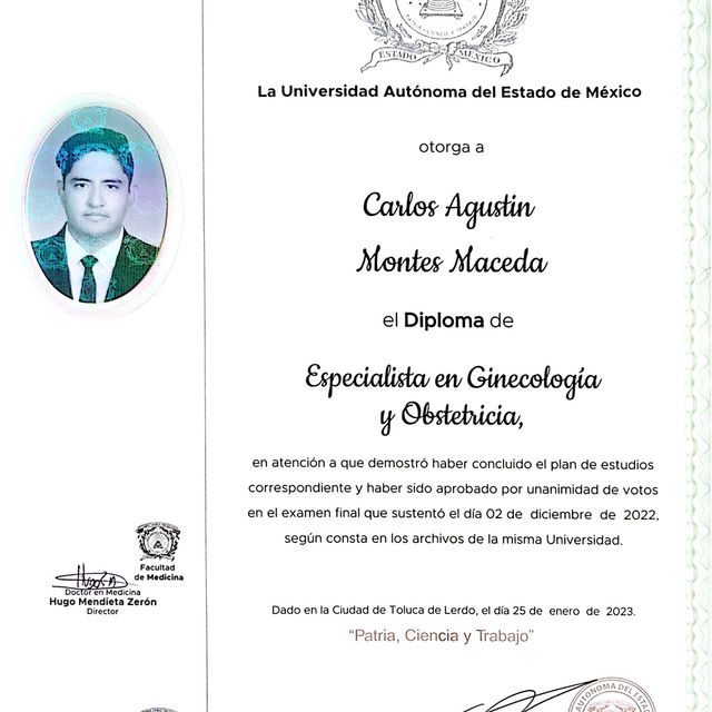 Ampliar imagen: certificate 1