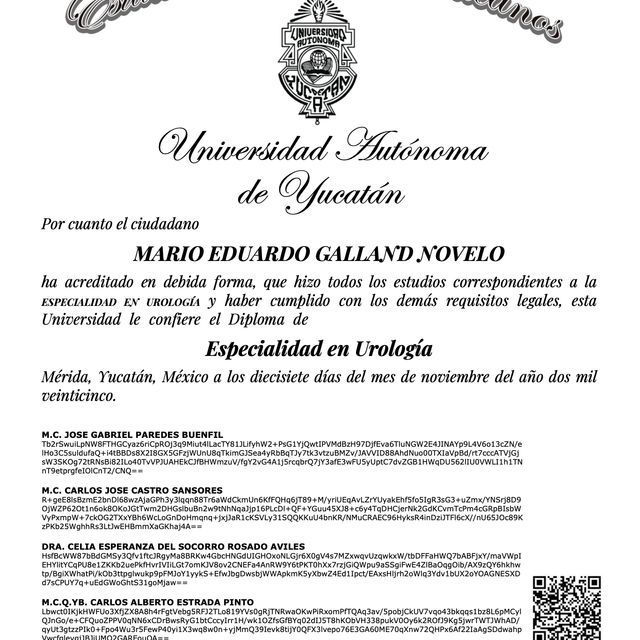 Ampliar imagen: certificate 1