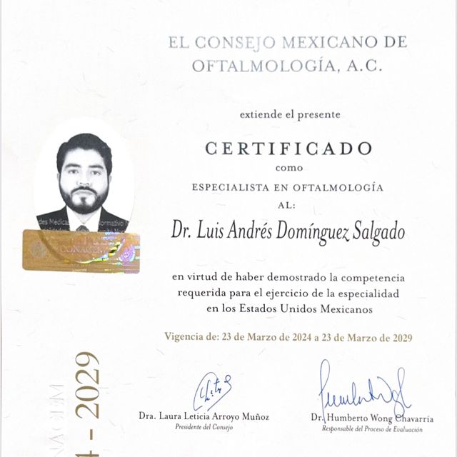 Ampliar imagen: certificate 2