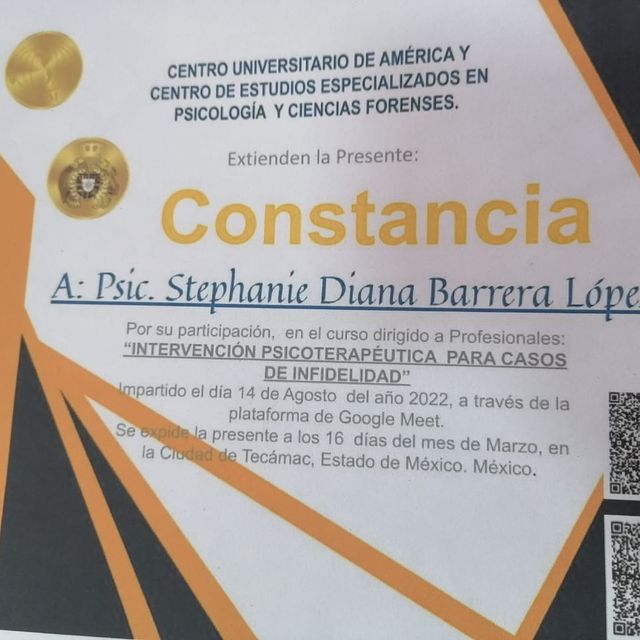 Ampliar imagen: certificate 28