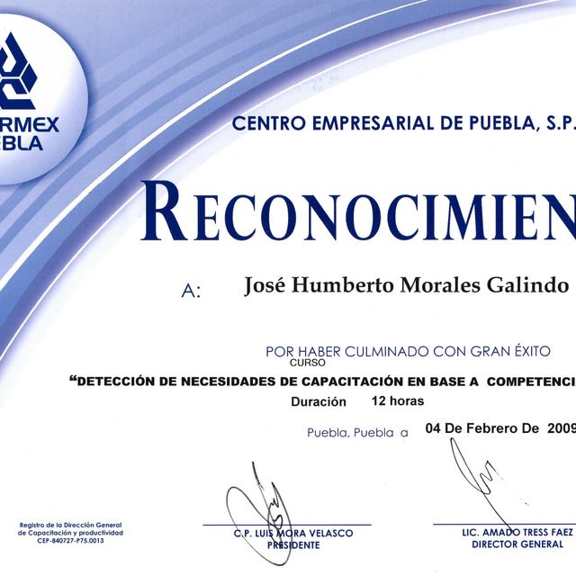 Ampliar imagen: certificate 17