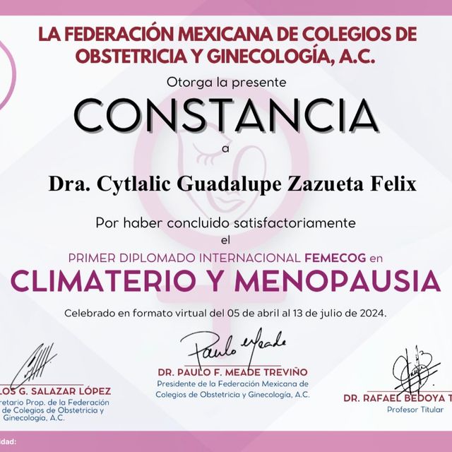 Ampliar imagen: certificate 3