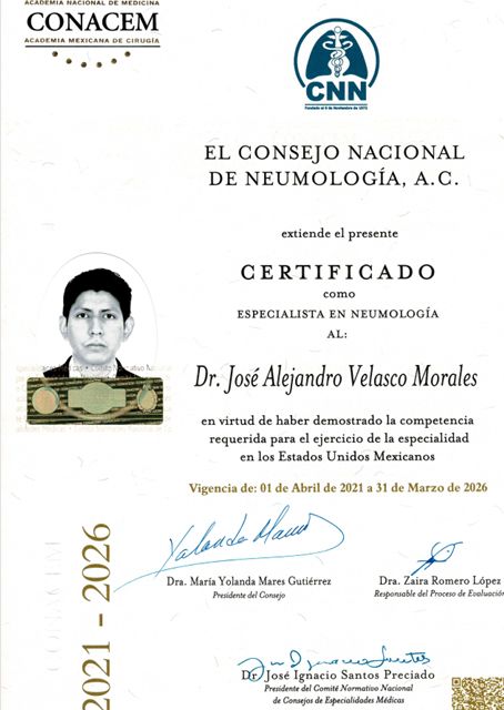 Ampliar imagen: certificate 1