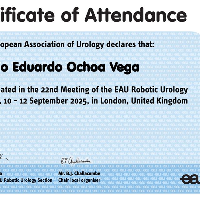 Ampliar imagen: certificate 4
