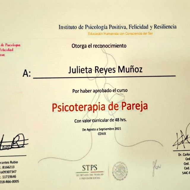 Ampliar imagen: certificate 5