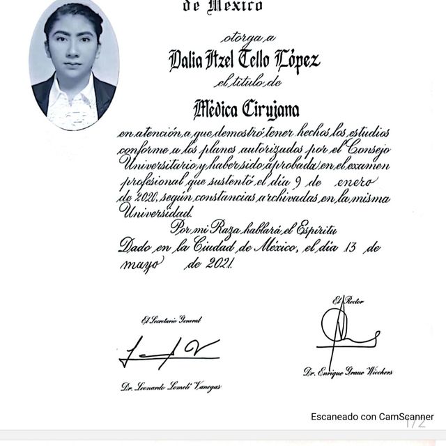 Ampliar imagen: certificate 4