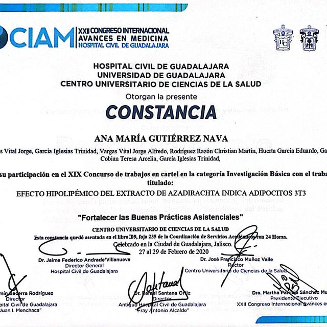 Ampliar imagen: certificate 12