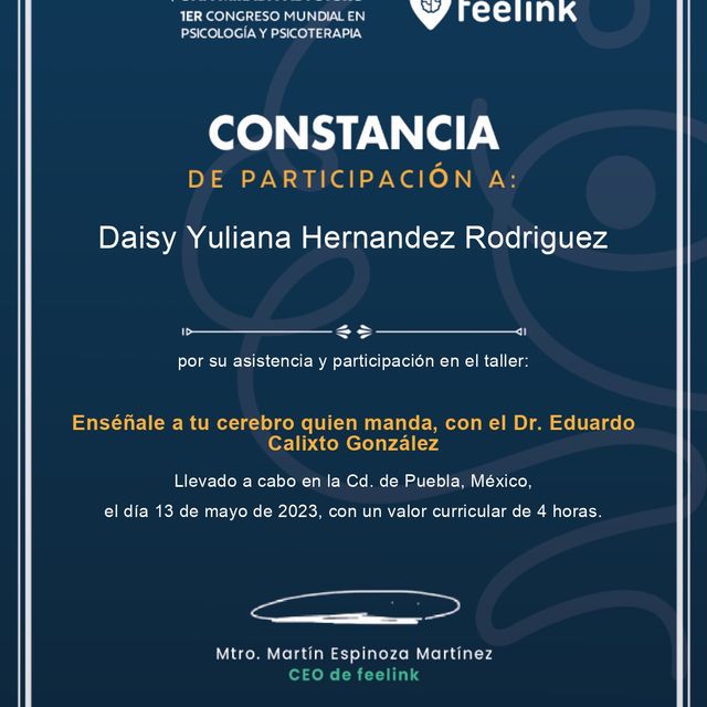 Ampliar imagen: certificate 17