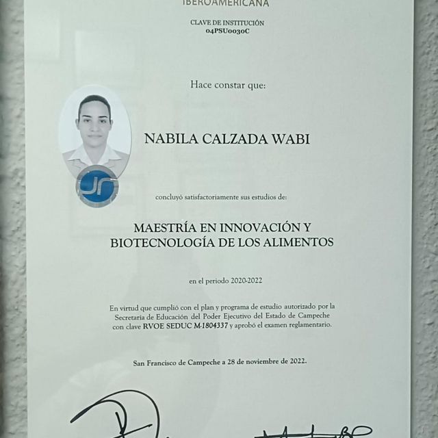 Ampliar imagen: certificate 2