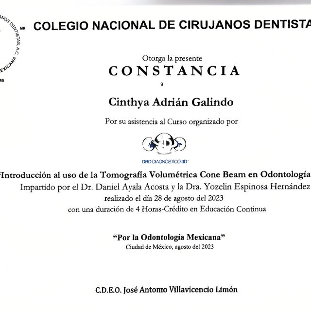 Ampliar imagen: certificate 4
