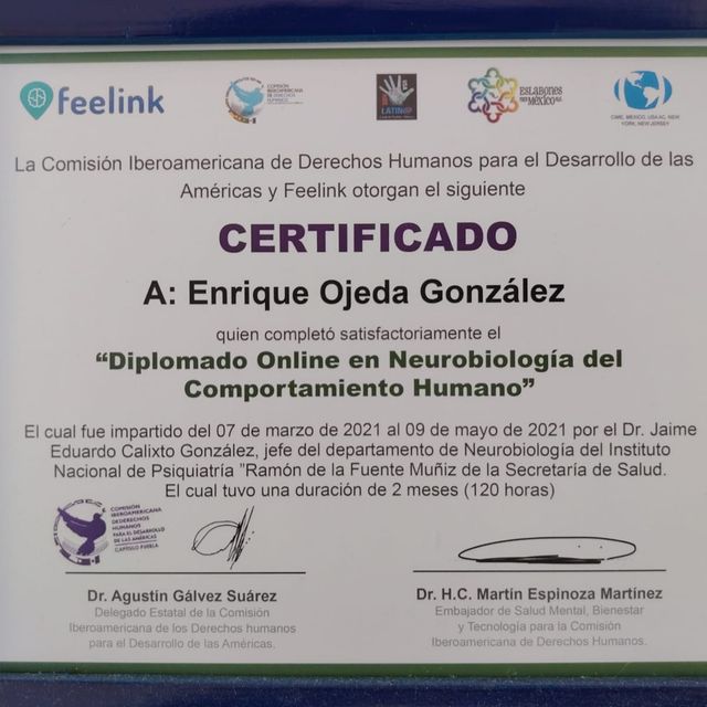 Ampliar imagen: certificate 7