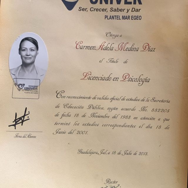 Ampliar imagen: certificate 1