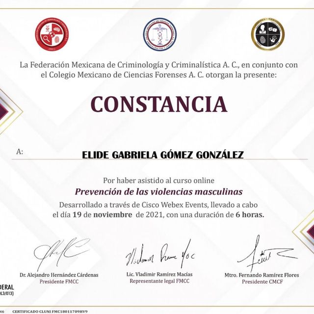Ampliar imagen: certificate 2