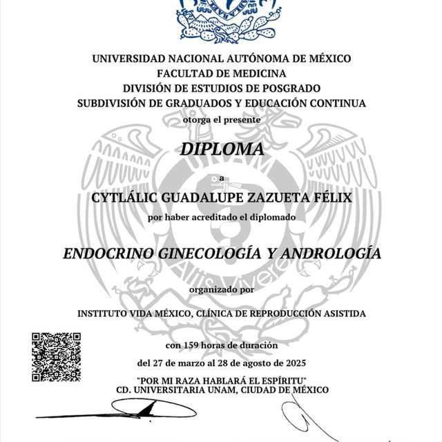 Ampliar imagen: certificate 4
