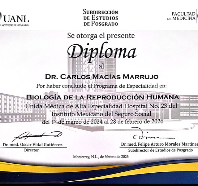 Ampliar imagen: certificate 1