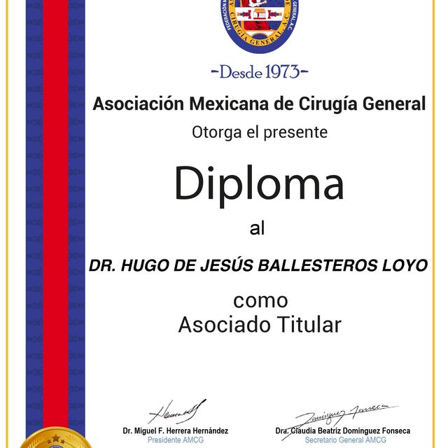 Ampliar imagen: certificate 3