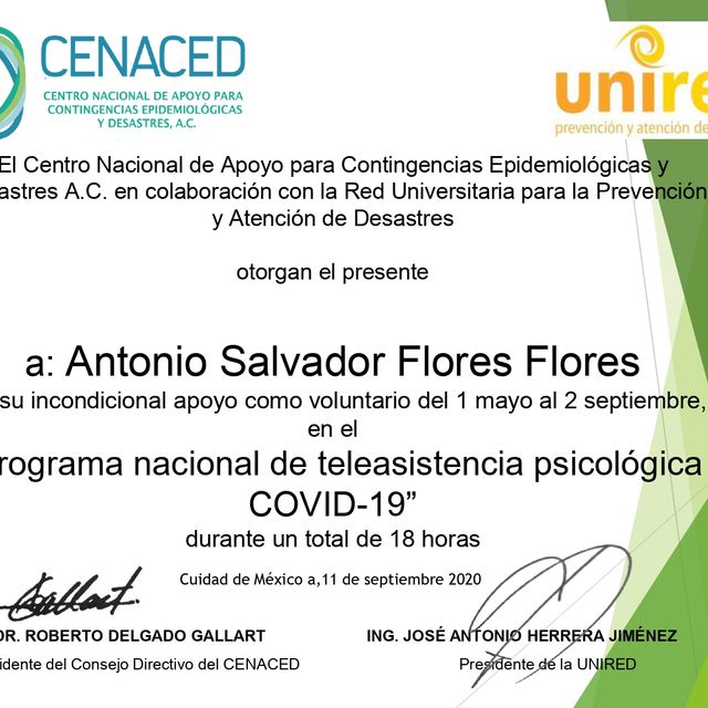 Ampliar imagen: certificate 13