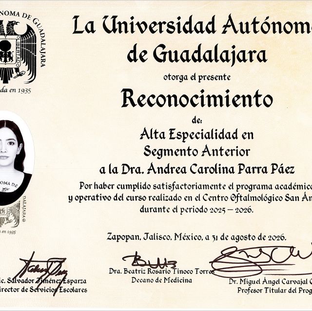 Ampliar imagen: certificate 1