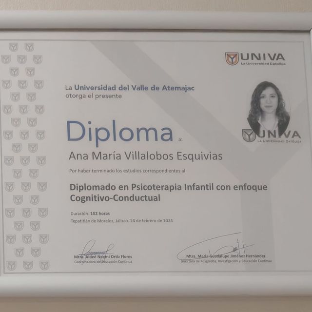 Ampliar imagen: certificate 3