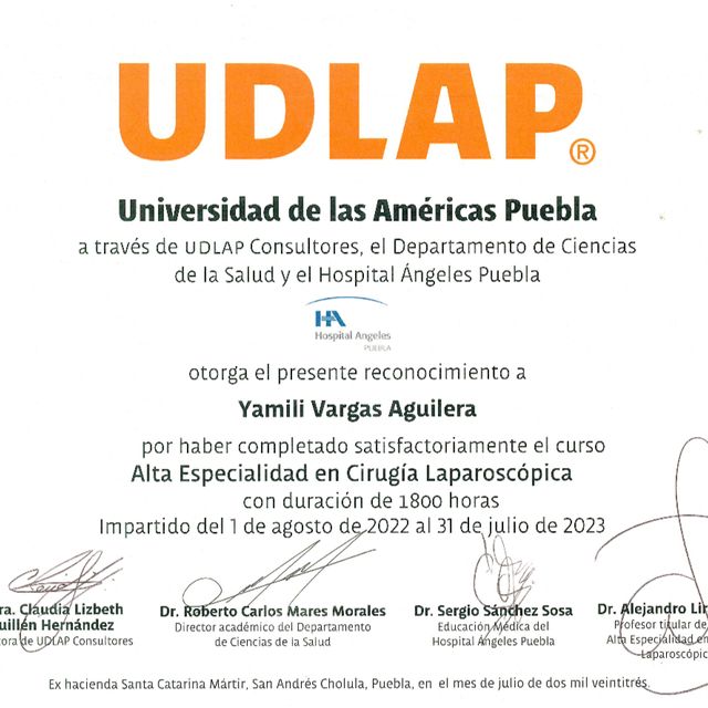 Ampliar imagen: certificate 2